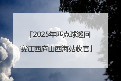 2025年匹克球巡回赛江西庐山西海站收官