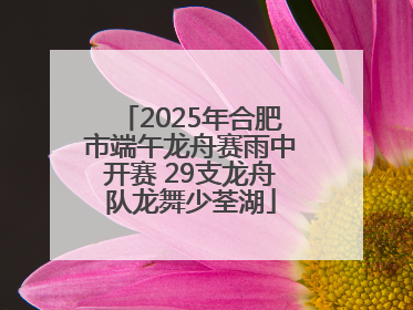 2025年合肥市端午龙舟赛雨中开赛 29支龙舟队龙舞少荃湖