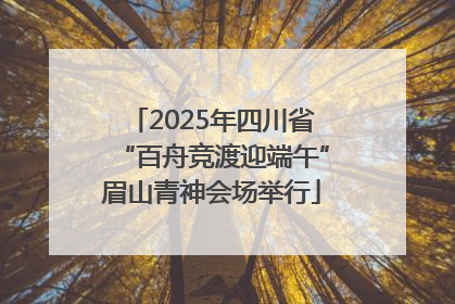 2025年四川省“百舟竞渡迎端午”眉山青神会场举行