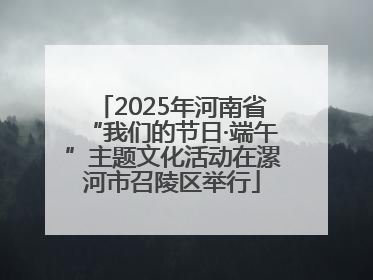 2025年河南省“我们的节日·端午”主题文化活动在漯河市召陵区举行
