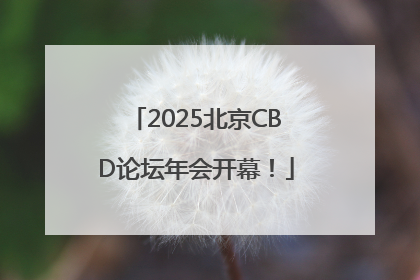 2025北京CBD论坛年会开幕！