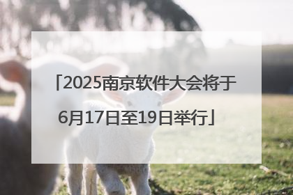 2025南京软件大会将于6月17日至19日举行