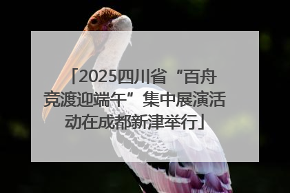 2025四川省“百舟竞渡迎端午”集中展演活动在成都新津举行