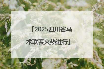 2025四川省马术联赛火热进行