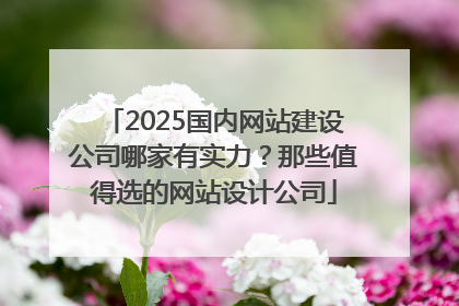 2025国内网站建设公司哪家有实力？那些值得选的网站设计公司