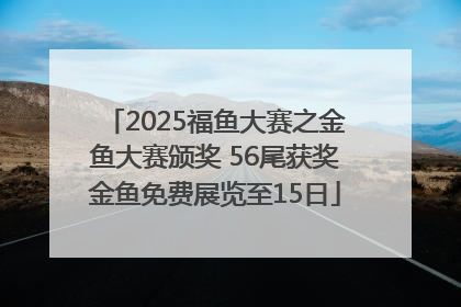 2025福鱼大赛之金鱼大赛颁奖 56尾获奖金鱼免费展览至15日