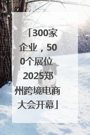 300家企业，500个展位 2025郑州跨境电商大会开幕