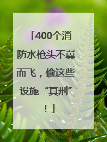 400个消防水枪头不翼而飞，偷这些设施“真刑”！