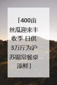400亩丝瓜迎来丰收季 日供3万斤为沪苏锡常餐桌添鲜