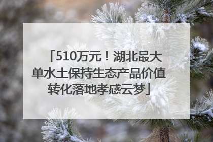 510万元！湖北最大单水土保持生态产品价值转化落地孝感云梦