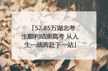 52.85万湖北考生顺利结束高考 从人生一战奔赴下一站