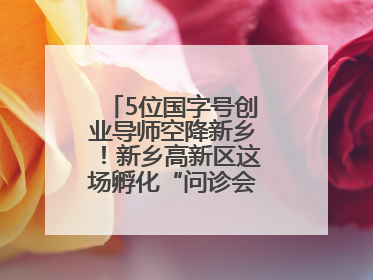 5位国字号创业导师空降新乡！新乡高新区这场孵化“问诊会”干货满满