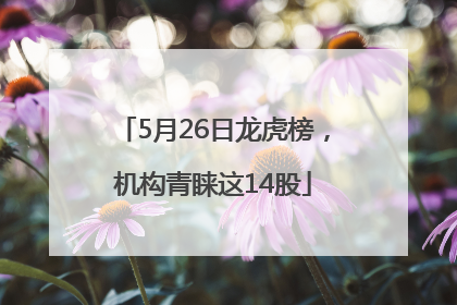 5月26日龙虎榜，机构青睐这14股