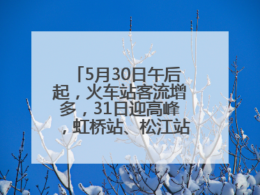 5月30日午后起，火车站客流增多，31日迎高峰，虹桥站、松江站有儿童节和端午亲子活动
