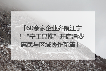 60余家企业齐聚江宁！“宁工品推”开启消费惠民与区域协作新篇