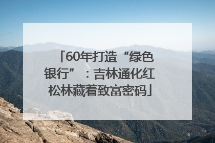 60年打造“绿色银行”：吉林通化红松林藏着致富密码