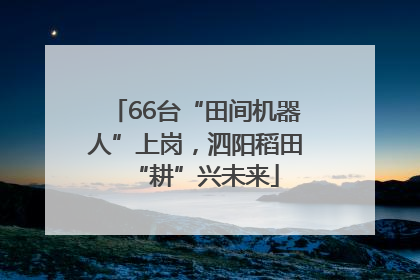 66台“田间机器人”上岗，泗阳稻田“耕”兴未来
