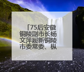 75后安徽铜陵副市长杨文萍履新铜陵市委常委、枞阳县委书记