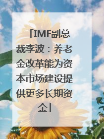 IMF副总裁李波：养老金改革能为资本市场建设提供更多长期资金