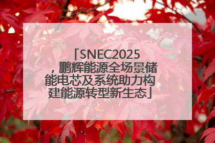 SNEC2025，鹏辉能源全场景储能电芯及系统助力构建能源转型新生态
