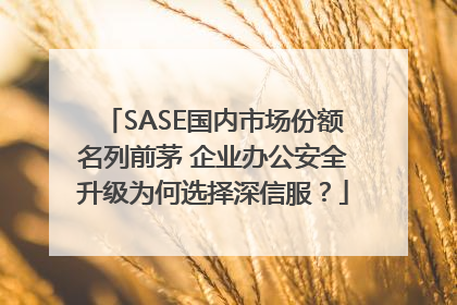 SASE国内市场份额名列前茅 企业办公安全升级为何选择深信服？