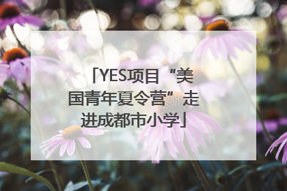 YES项目“美国青年夏令营”走进成都市小学